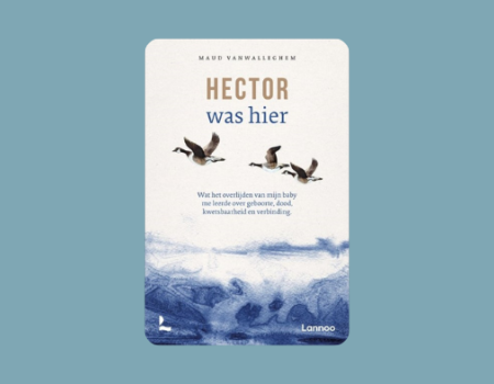 Kaft van boek Hector was hier met aquarel van golven van de zee en ganzen