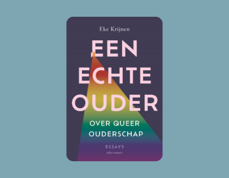 kaft boek met driehoekige regenboog