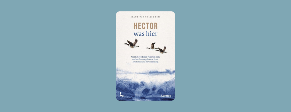 Kaft van boek Hector was hier met aquarel van golven van de zee en ganzen