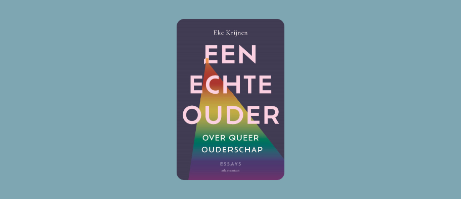 kaft boek met driehoekige regenboog